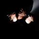 Image for article titled 19 Objects Cloned by Light